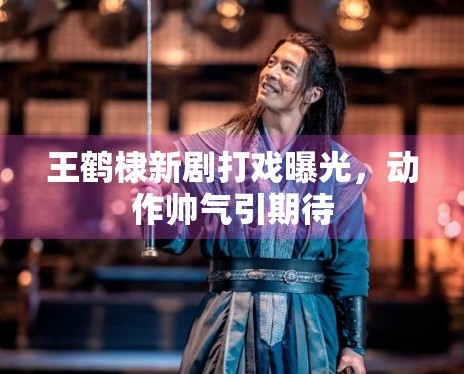 王鹤棣新剧打戏曝光，动作帅气引期待