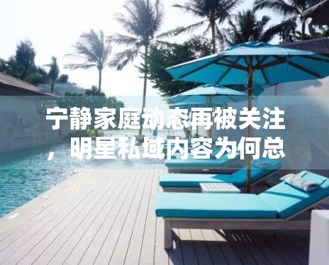 宁静家庭动态再被关注，明星私域内容为何总能引发高讨论