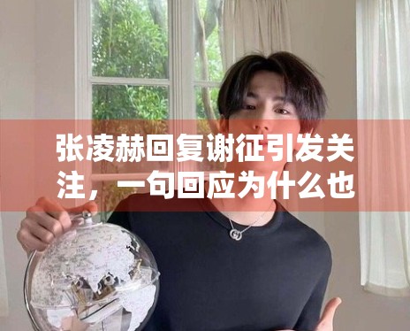 张凌赫回复谢征引发关注,一句回应为什么也能形成传播点 张凌赫回复谢征引发关注,一句回应为什么也能形成传播点